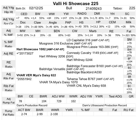 Valli Hi Showcase 225