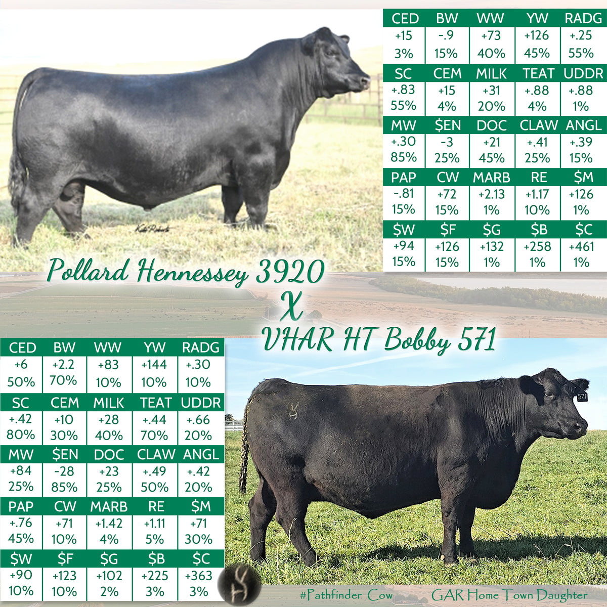 Pollard Hennessey X VHAR HT Bobby 571