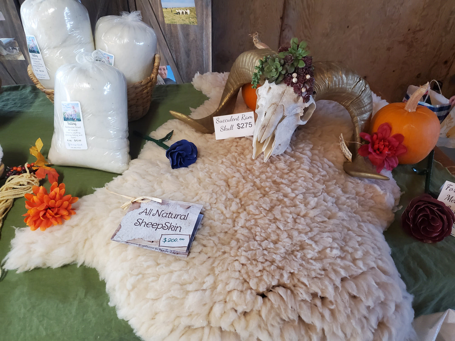 Wool, yarn, skulls, & Sheepskins