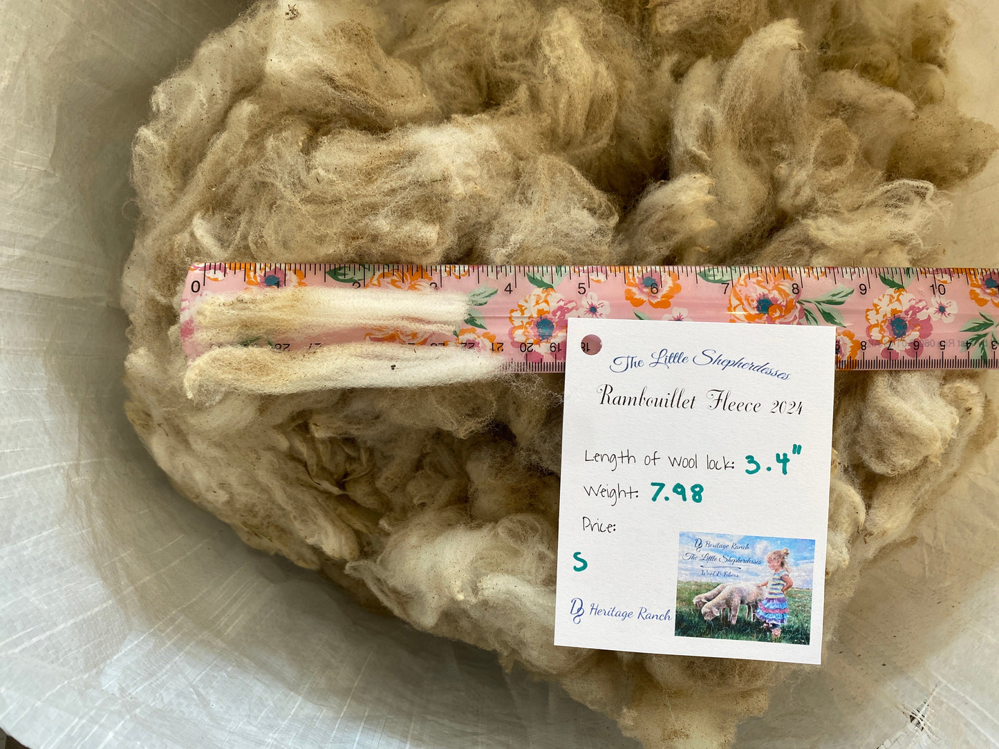 Wool Raw Rambouillet Fleece