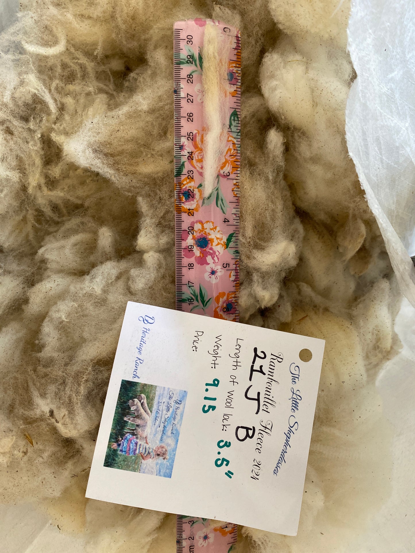 Wool Raw Rambouillet Fleece