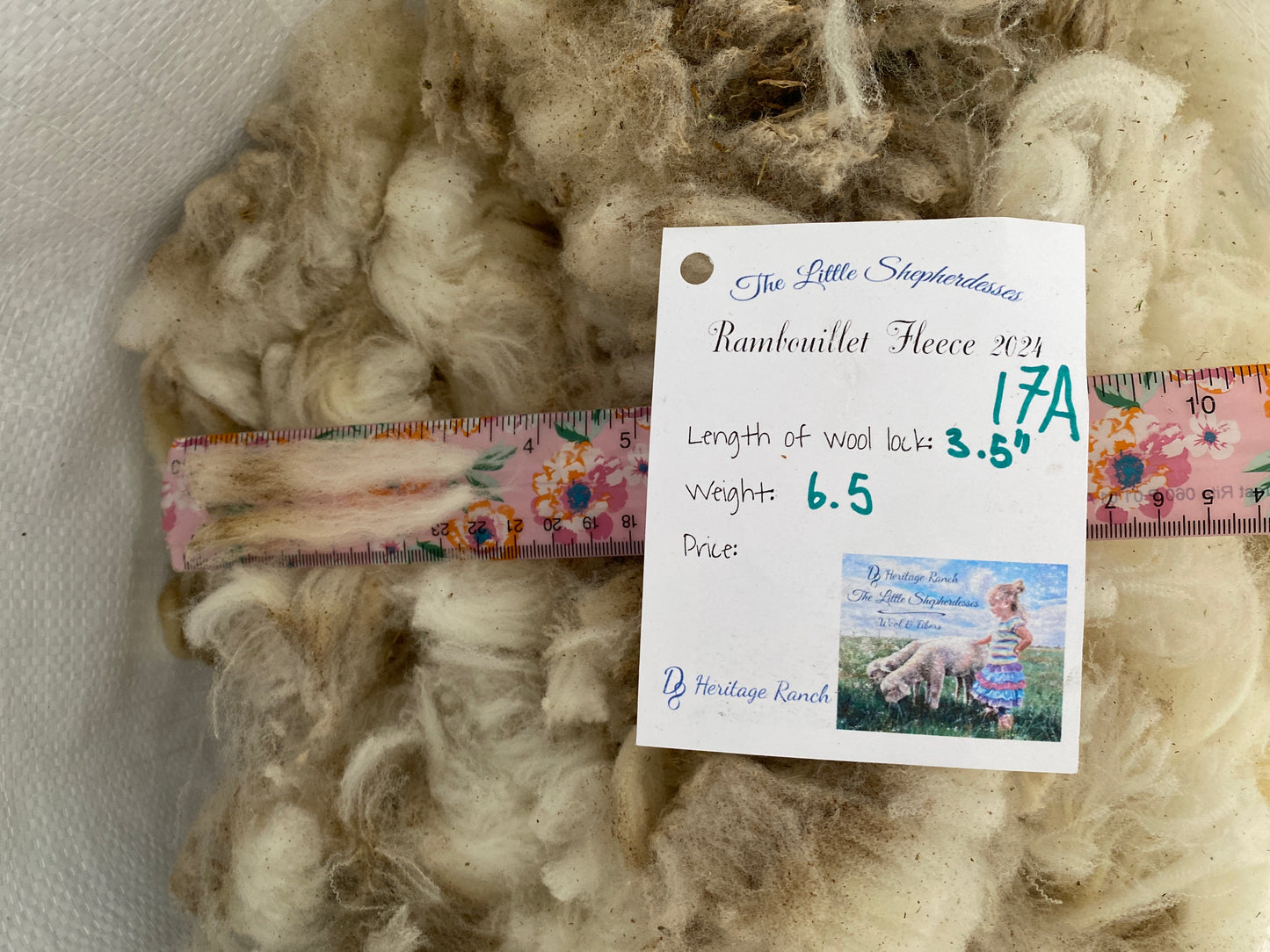 Wool Raw Rambouillet Fleece