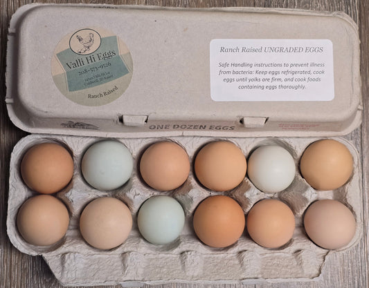 Eggs