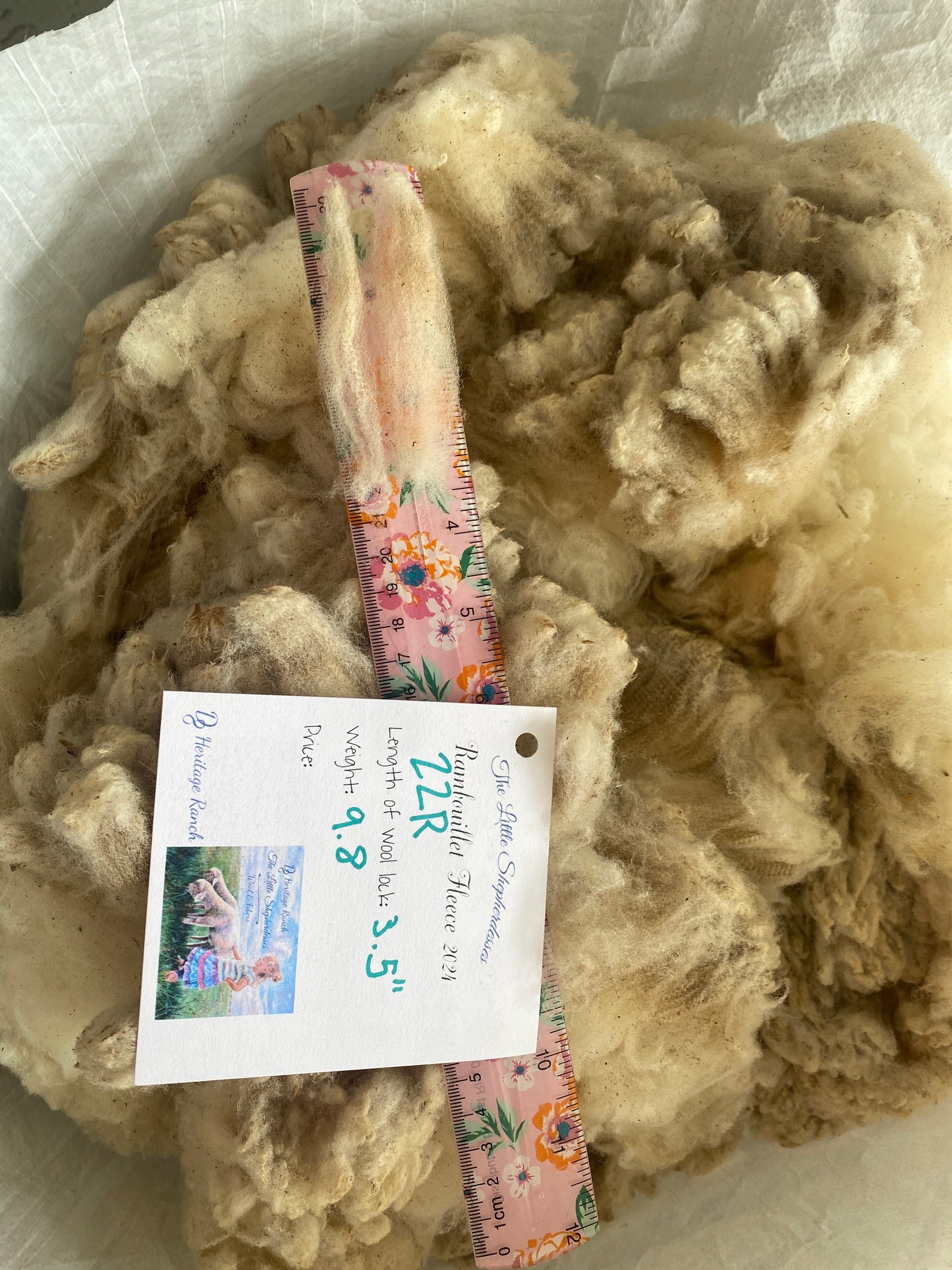 Wool Raw Rambouillet Fleece