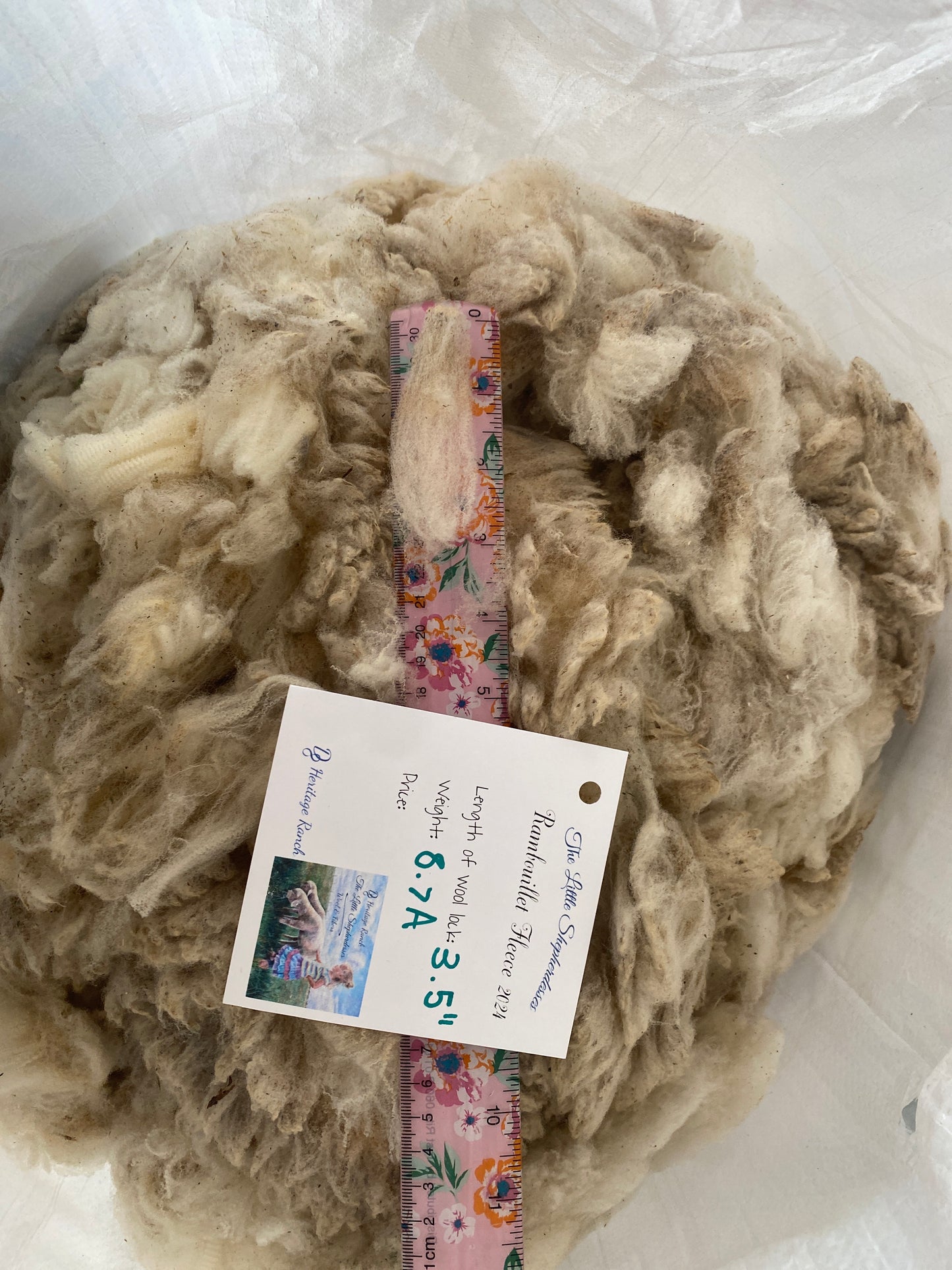Wool Raw Rambouillet Fleece