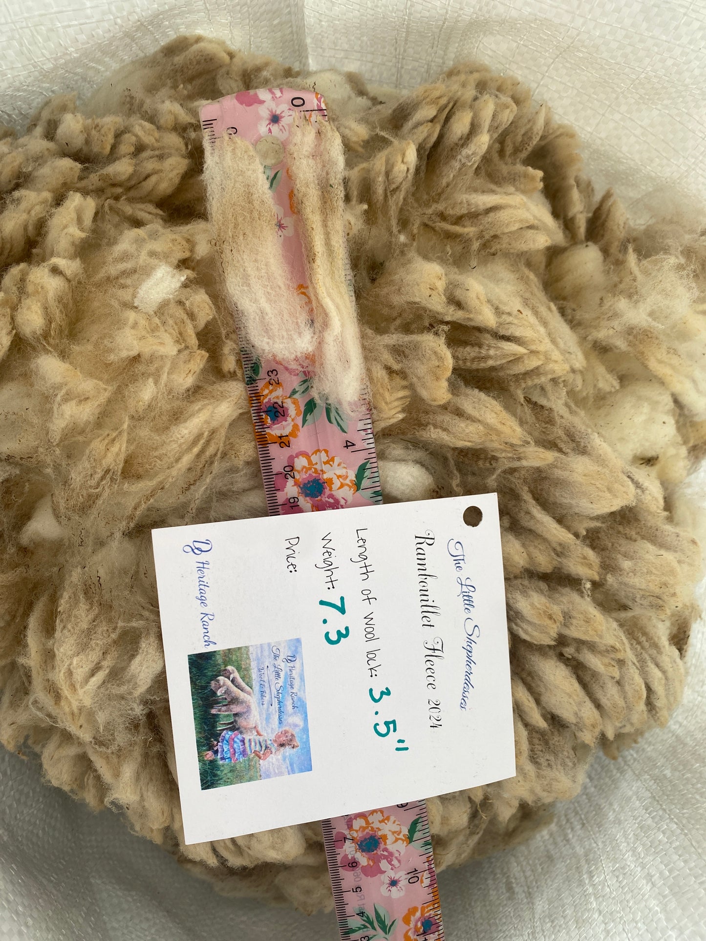 Wool Raw Rambouillet Fleece