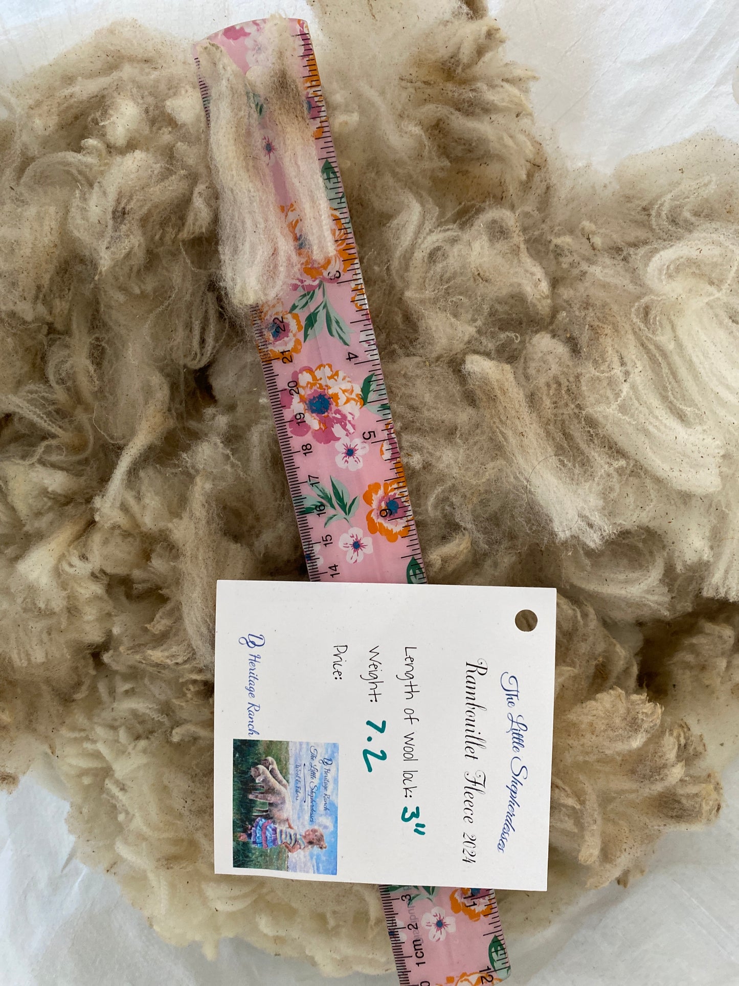 Wool Raw Rambouillet Fleece