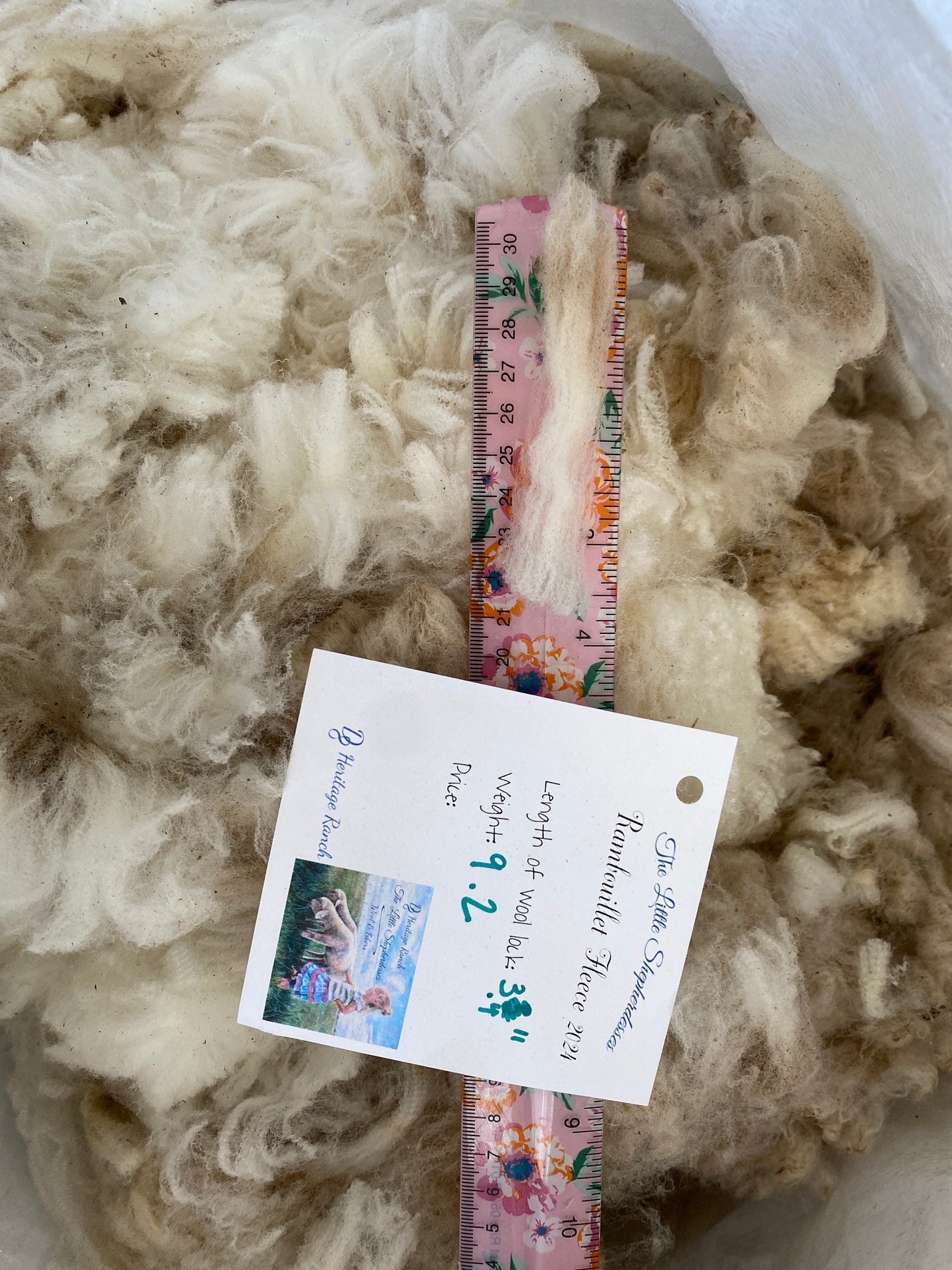 Wool Raw Rambouillet Fleece