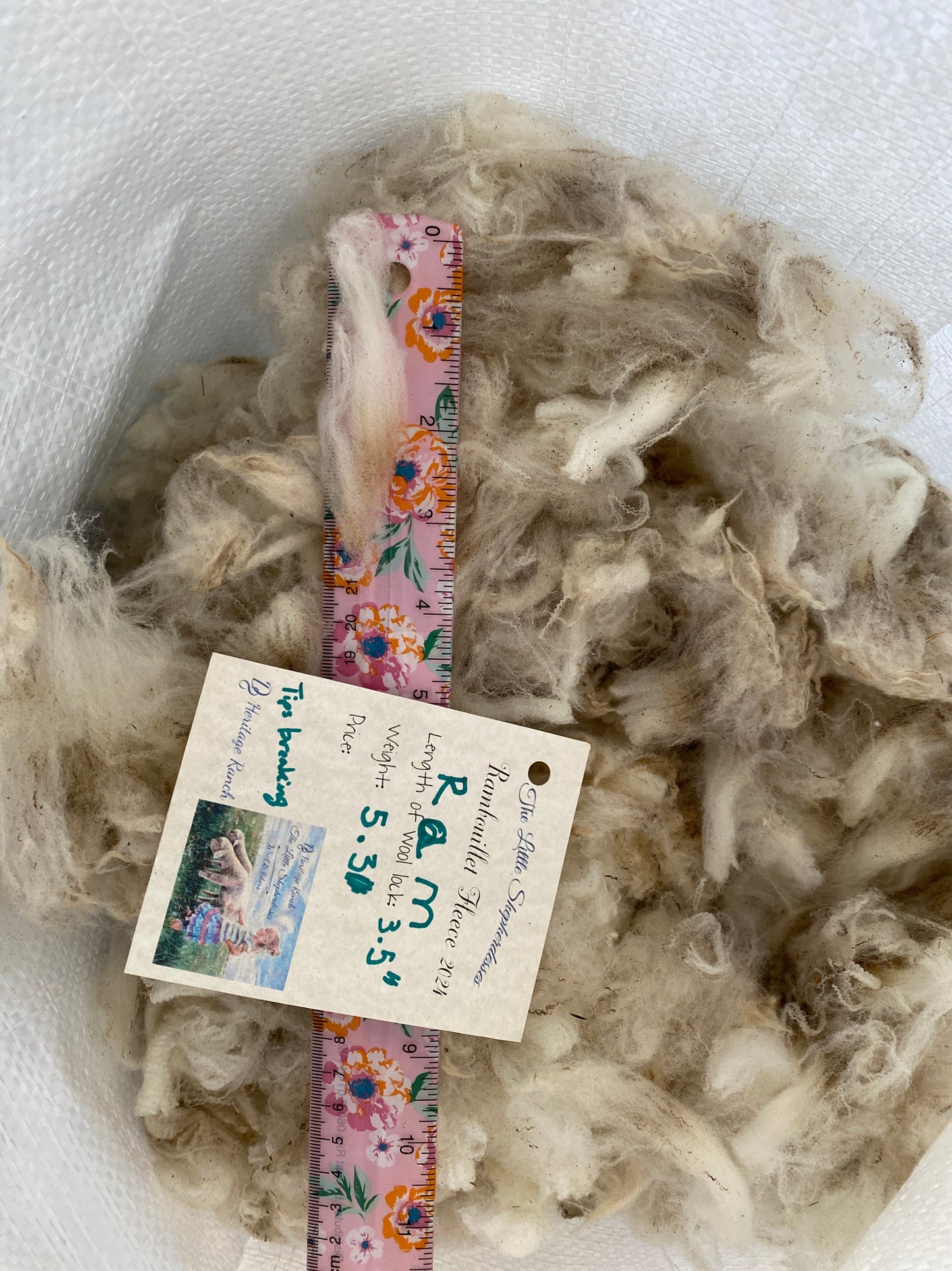 Wool Raw Rambouillet Fleece