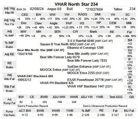 VHAR North Star 234 - Bruce