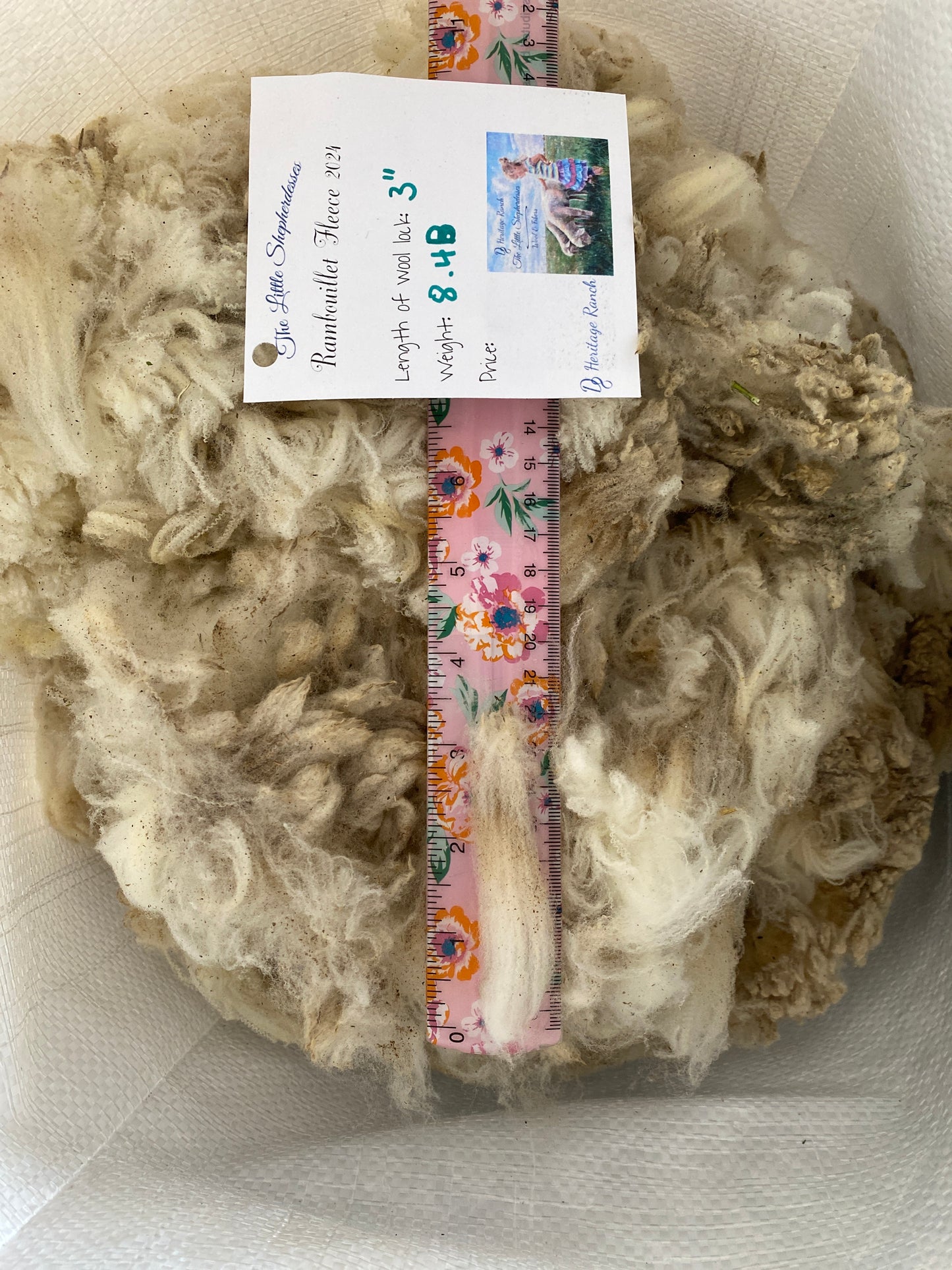 Wool Raw Rambouillet Fleece