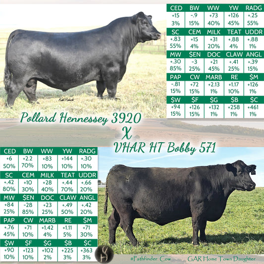 Pollard Hennessey X VHAR HT Bobby 571