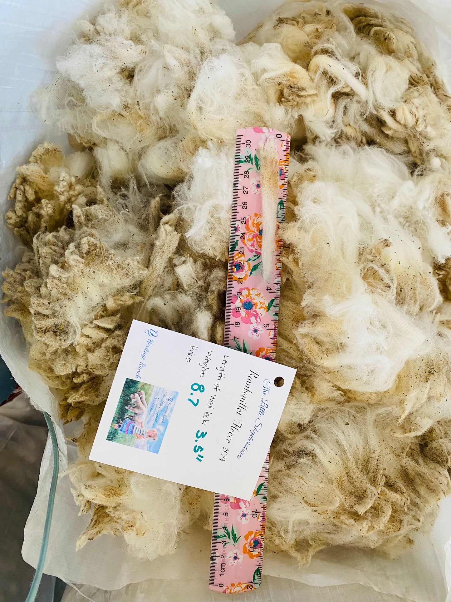Wool Raw Rambouillet Fleece