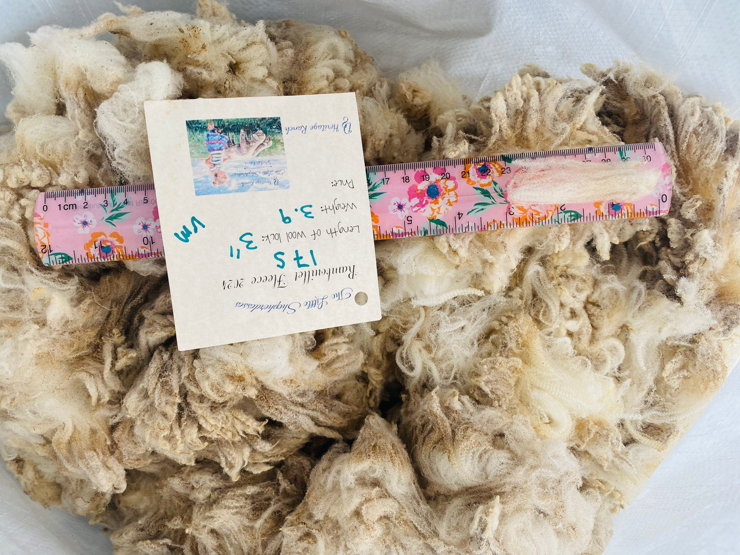 Wool Raw Rambouillet Fleece