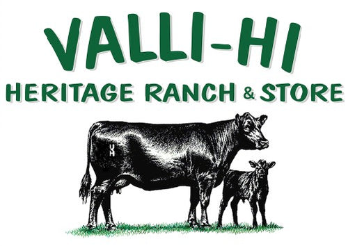 Valli Hi logo
