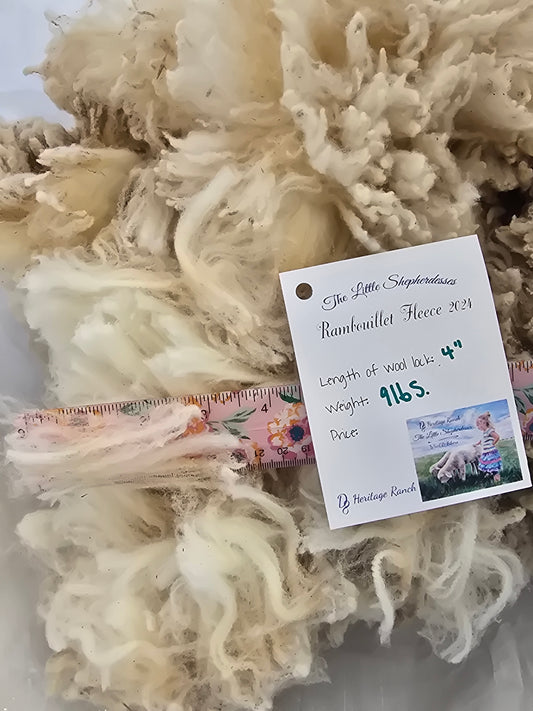 Wool Raw Rambouillet Fleece